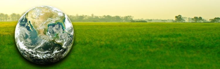 Earth placed in a green field - All About Worldview Banner